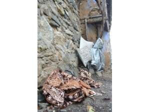  VİNO (1)